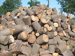 Cser f�r�szelt